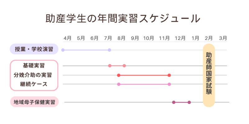 助産学生の実習期間、年間スケジュール
